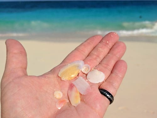Read more about the article Is There Sea Glass in the Bahamas?